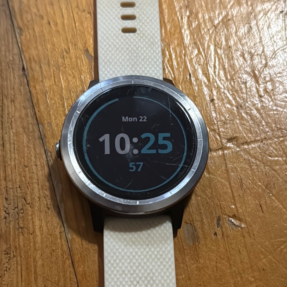 Garmin Vicoactive 3 running exercise watch